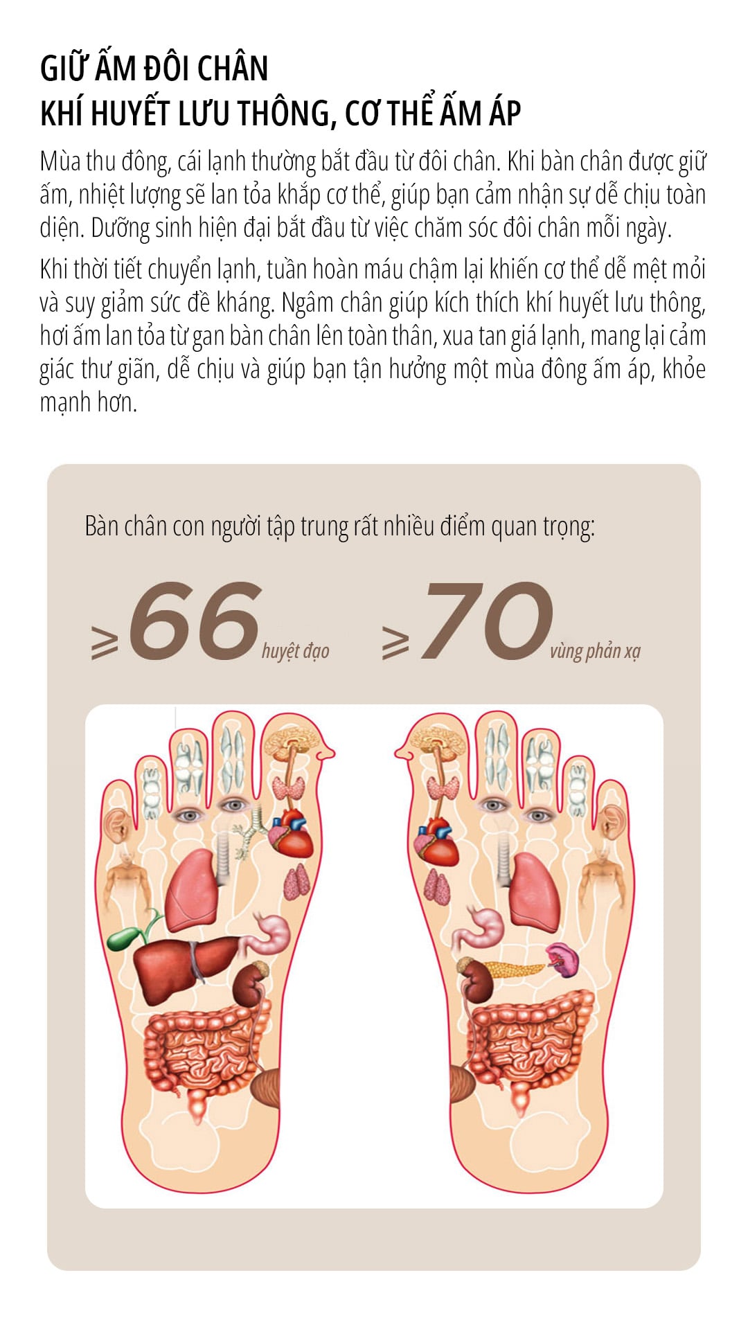 Bồn ngâm chân massage miLife YMZ-B5